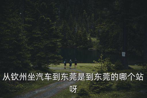 二月九號欽州到東莞鳳崗，從東莞鳳崗到欽州小董的長途汽車票價是多少