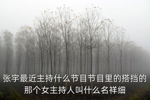 張宇最近主持什么節(jié)目節(jié)目里的搭擋的那個女主持人叫什么名祥細(xì)