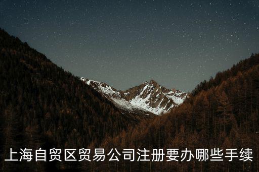 上海自貿區貿易公司注冊要辦哪些手續