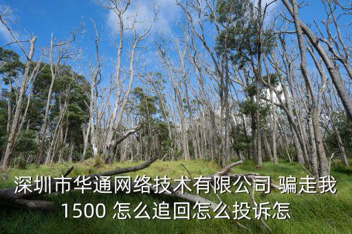 深圳市華通網絡技術有限公司 騙走我1500 怎么追回怎么投訴怎