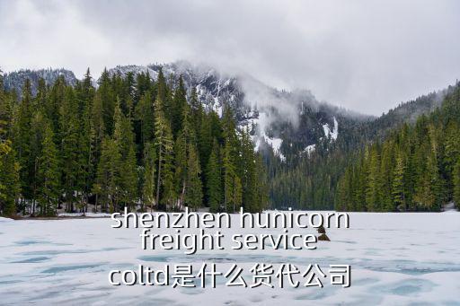 深圳宇環國際物流有限公司，請問深圳哪家國際快遞公司有ARAMEX中東快線專線服務