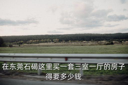 在東莞石碣這里買一套三室一廳的房子得要多少錢