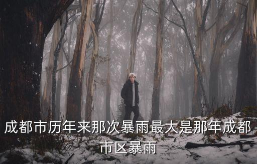 成都市歷年來那次暴雨最大是那年成都市區暴雨