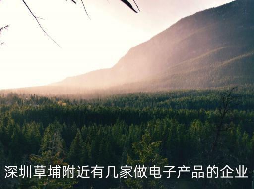 深圳草埔附近有幾家做電子產(chǎn)品的企業(yè)