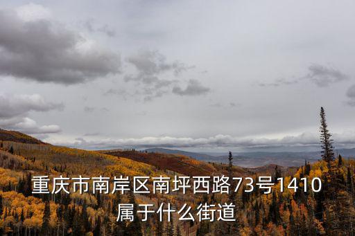 重慶市南岸區南坪西路73號1410屬于什么街道