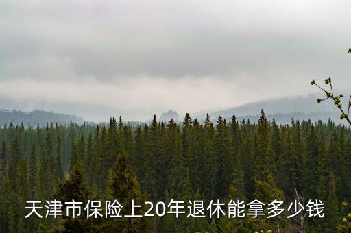 天津市保險上20年退休能拿多少錢