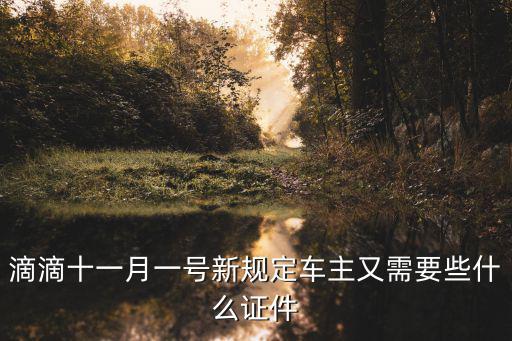 滴滴十一月一號(hào)新規(guī)定車(chē)主又需要些什么證件