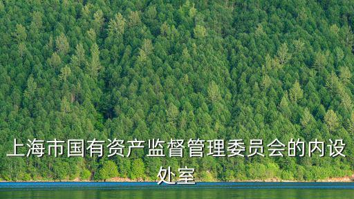 上海市國有資產監督管理委員會的內設處室
