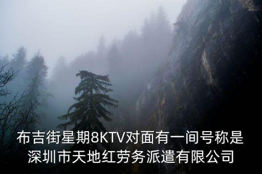 布吉街星期8KTV對面有一間號稱是深圳市天地紅勞務派遣有限公司