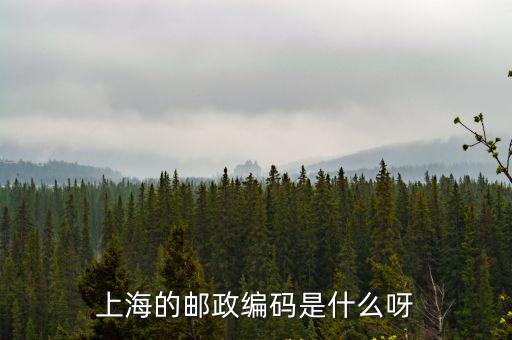 上海市中興路571弄郵編，上海的郵政編碼是什么呀