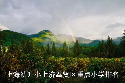 上海幼升小上濟奉賢區重點小學排名
