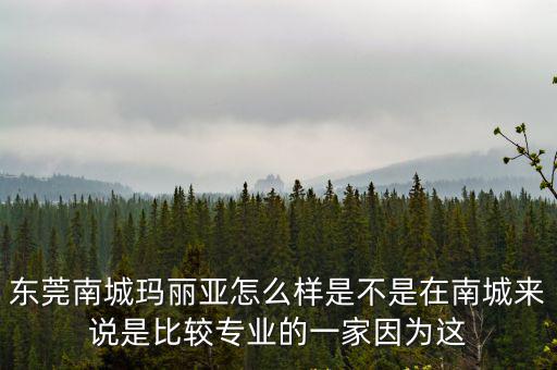 東莞南城瑪麗亞怎么樣是不是在南城來說是比較專業(yè)的一家因為這
