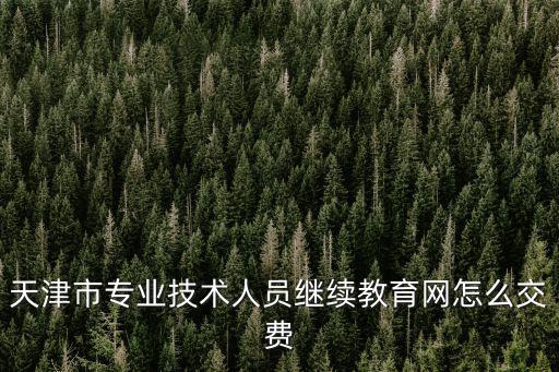 天津市專業(yè)技術(shù)人員繼續(xù)教育網(wǎng)怎么交費