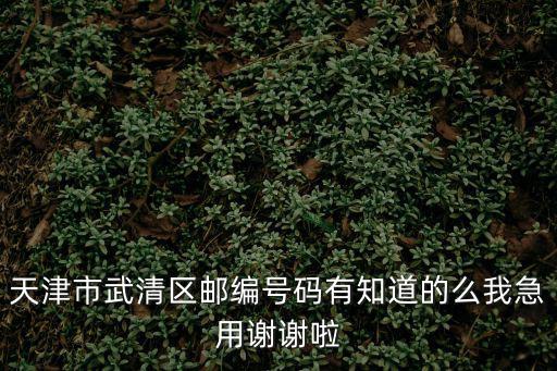 天津市武清區(qū)郵編號(hào)碼有知道的么我急用謝謝啦