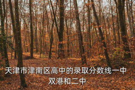 天津市津南區高中的錄取分數線一中 雙港和二中