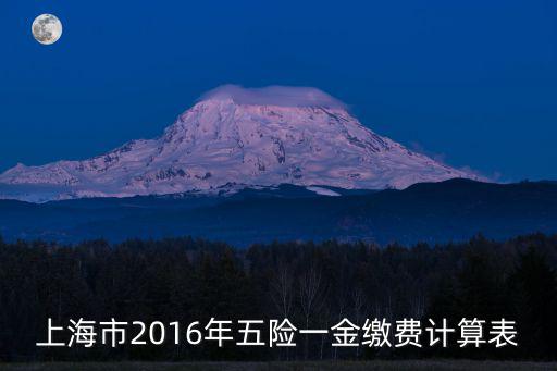 上海市2016年五險一金繳費計算表