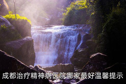 成都治療精神病醫院哪家最好溫馨提示