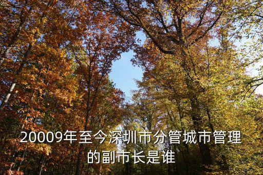 20009年至今深圳市分管城市管理的副市長是誰