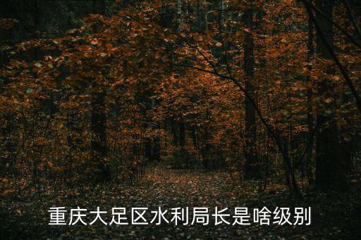 重慶市大足區區長是什么級別，重慶市大足區長是什么級別