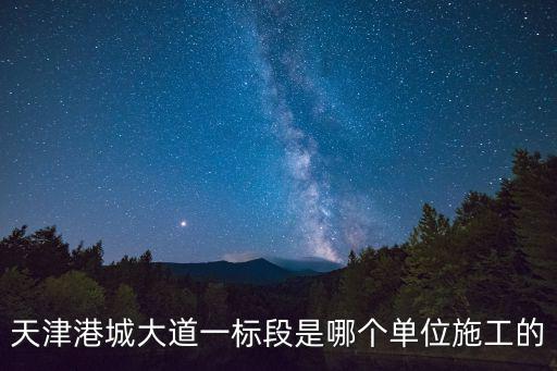 天津港城大道一標段是哪個單位施工的