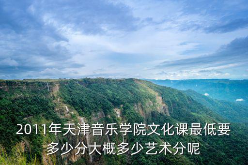 2011年天津音樂學院文化課最低要多少分大概多少藝術分呢