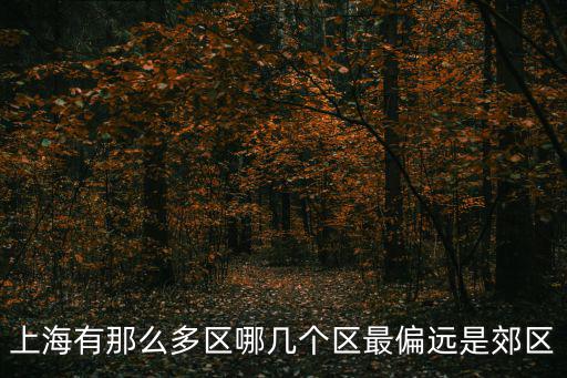 上海有那么多區哪幾個區最偏遠是郊區