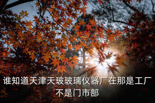 誰知道天津天玻玻璃儀器廠在那是工廠不是門市部