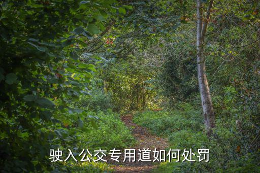 深圳占用公交車道怎么處罰，深圳高峰期走公交車道會怎么處罰