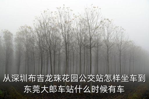 從深圳布吉龍珠花園公交站怎樣坐車到東莞大郎車站什么時候有車