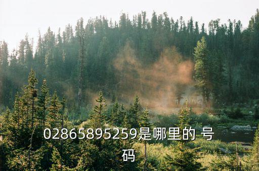 02865895259是哪里的 號碼
