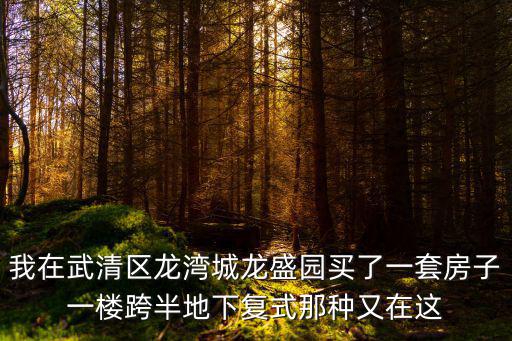 我在武清區龍灣城龍盛園買了一套房子一樓跨半地下復式那種又在這