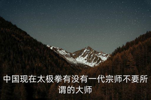 陳小旺深圳太極華藏館，楊澄甫和陳小旺的功夫比較