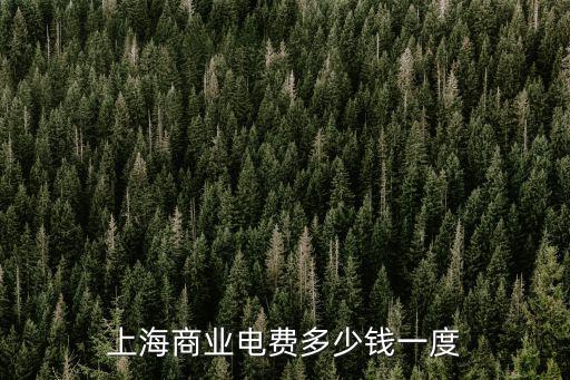上海市商業用電分時電價，上海商業電費多少錢一度