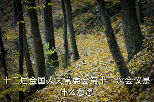 十二屆全國人大常委會第十二次會議是什么意思