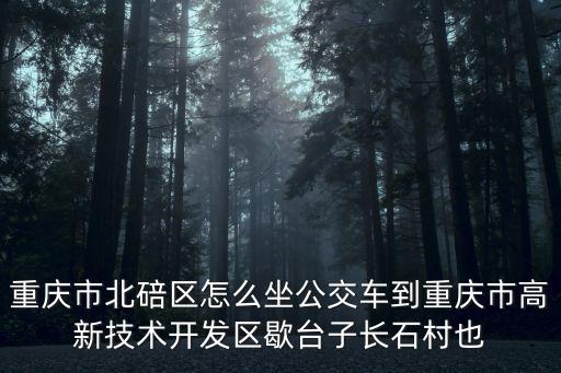 重慶市北碚區(qū)怎么坐公交車(chē)到重慶市高新技術(shù)開(kāi)發(fā)區(qū)歇臺(tái)子長(zhǎng)石村也