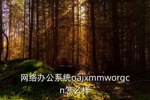 深圳特安網上辦公oa，請問大伙用的網絡辦公系統怎樣有些什么功能是哪個公司的啊
