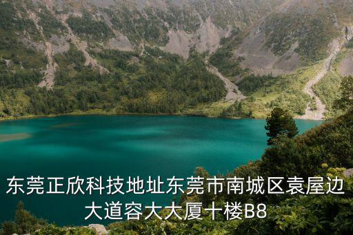 東莞正欣科技地址東莞市南城區袁屋邊大道容大大廈十樓B8