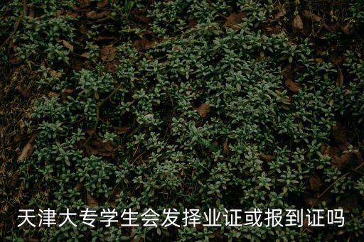 天津市委宣傳部趙洪友，天津市委宣傳部的組織架構如何