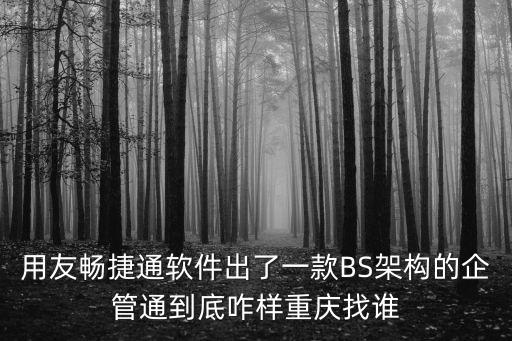 用友暢捷通軟件出了一款BS架構(gòu)的企管通到底咋樣重慶找誰