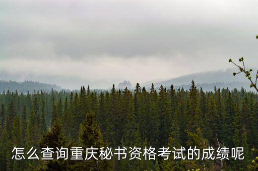 怎么查詢重慶秘書資格考試的成績(jī)呢