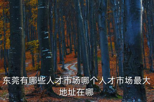 東莞有哪些人才市場哪個人才市場最大地址在哪