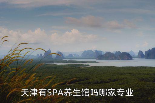 天津有SPA養生館嗎哪家專業