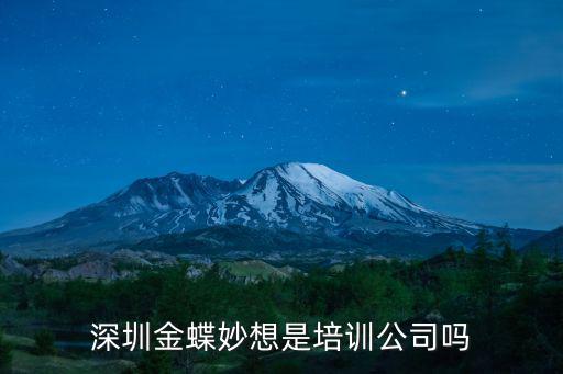 金蝶 深圳，深圳寶安區(qū)的騰訊網(wǎng)財務(wù)負責人是誰