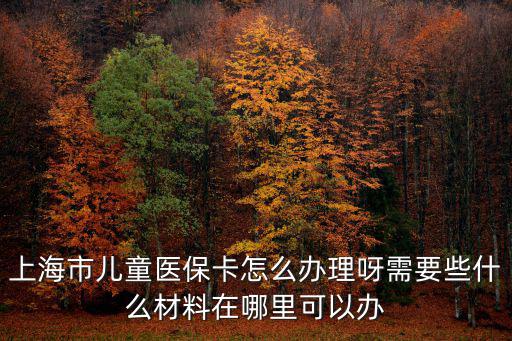 上海市兒童醫(yī)?？ㄔ趺崔k理呀需要些什么材料在哪里可以辦