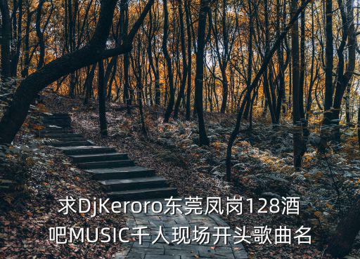 求DjKeroro東莞鳳崗128酒吧MUSIC千人現場開頭歌曲名