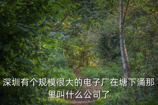 深圳有個規模很大的電子廠在塘下涌那里叫什么公司了
