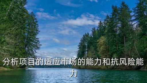 分析項(xiàng)目的適應(yīng)市場(chǎng)的能力和抗風(fēng)險(xiǎn)能力