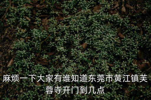 麻煩一下大家有誰知道東莞市黃江鎮芙蓉寺開門到幾點