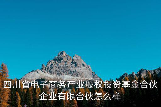 四川省電子商務(wù)產(chǎn)業(yè)股權(quán)投資基金合伙企業(yè)有限合伙怎么樣