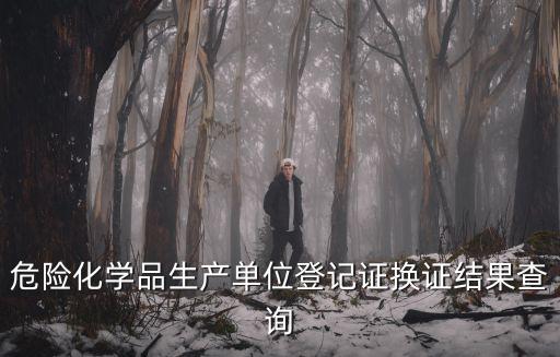 危險化學品生產單位登記證換證結果查詢